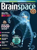 Brainspace